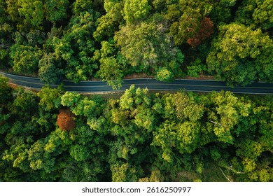 緑の木々に囲まれた道路の航空写真。旅行と環境。上空から見た道路。