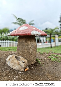 털이 많고 밝은 갈색의 집토끼(Oryctolagus cuniculus)가 야외 정원에 있는 장식용 버섯 구조물 옆에서 당근 한 조각을 뜯어 먹으며 평화롭게 땅에 앉아 있습니다.