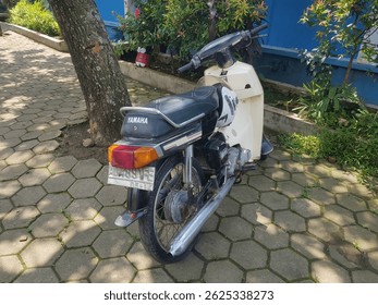 2625338273