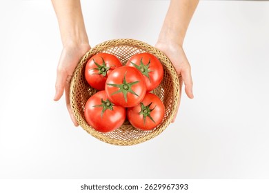 2629967393