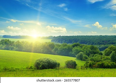 campo verde y cielo azul con nubes claras