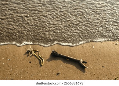 Oceanski valovi nežno pljuskajo ob peščeno plažo in za seboj puščajo kos naplavljenega lesa in nekaj morskih alg. Mirni prizor ujame preprosto lepoto obale.