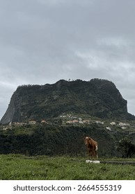 ポルトガルのマデイラ島の美しい自然と旅行の写真。ドラマチックな大西洋沿岸の崖、緑豊かな熱帯植物、エキゾチックな花、息を呑むほど美しい島の風景を紹介しています。