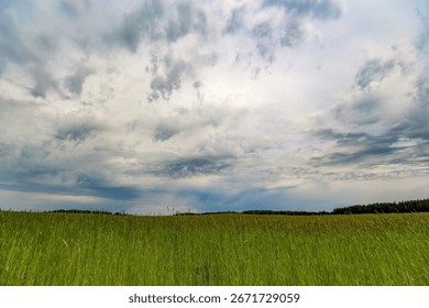 Dia quente de verão, céu com nuvens, campos rurais
