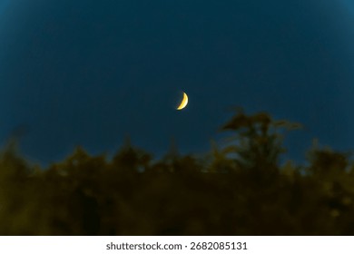 Luna de sangre sobre árboles recortados contra el cielo. Raro fenómeno celestial: una luna carmesí que proyecta un brillo ominoso en el firmamento nocturno, un presagio poderoso.