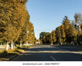 A city street lined with trees and a traffic light.