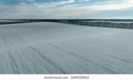 Vue aérienne de champs agricoles enneigés. Paysage rural serein, froid et magnifique.