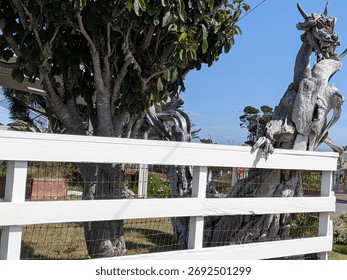 Crescent City, CA – 15 de setembro de 2025. Um enorme dragão de madeira flutuante com duas cabeças, chifres e garras se agarra a uma árvore e uma cerca, uma ousada declaração de criatividade e design de jardim inspirado na fantasia.