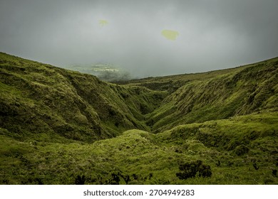 Maglovita brda sa zelenom travom i maglom na ostrvu Sao Jorge, Azori, Portugal
