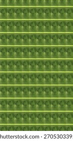 Un motivo senza soluzione di continuità di texture di foglie tropicali verdi con venature diagonali e bande orizzontali luminose, che creano uno sfondo botanico naturale, organico e vibrante.