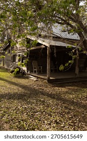 O cabană confortabilă se află în pădure, parțial acoperită de un copac, cu veranda din lemn și acoperișul de tablă strălucind în lumina caldă a apusului. Un refugiu rustic liniștit, înconjurat de natură și atmosfera serii.