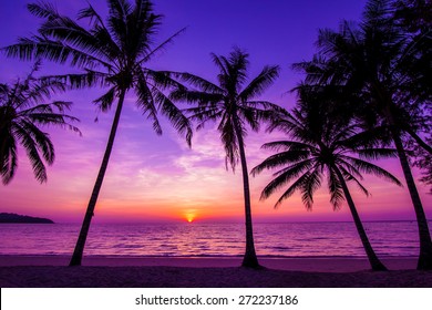 Palmbomen silhouet bij zonsondergang