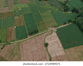 Vues aériennes de rizières, de zones forestières, d'autoroutes, de rivières et de régions agricoles en Indonésie. Photographie aérienne à thème agricole.