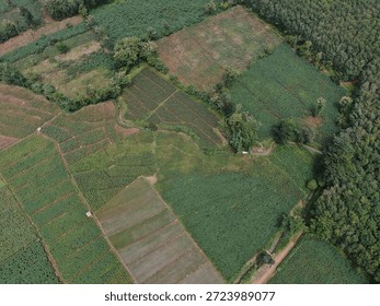 Vues aériennes de rizières, de zones forestières, d'autoroutes, de rivières et de régions agricoles en Indonésie. Photographie aérienne à thème agricole.