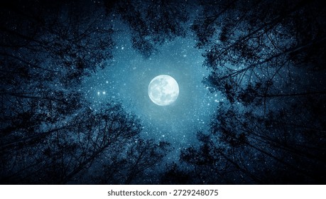 Beautiful night sky, the Milky Way, moon and the trees. Elements of this image furnished by NASA.