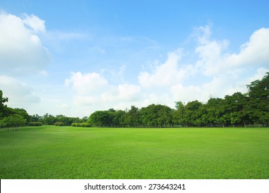 paisaje de campo de hierba y uso de parque público de medio ambiente verde como fondo natural, telón de fondo