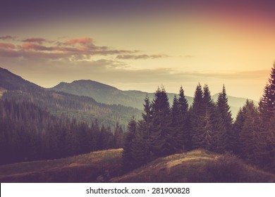 夏の山の風景。森の近くの観光テント。フィルター処理された画像: クロス処理されたビンテージ効果。