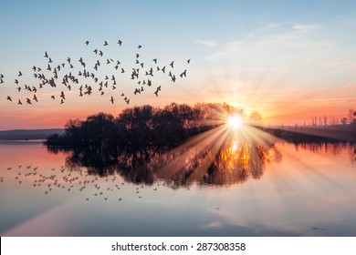 Silhouette von Vögeln, die bei einem atemberaubenden Sonnenuntergang über dem See fliegen