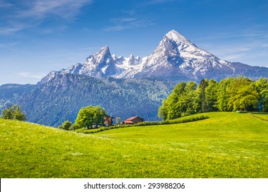 Idyllische Landschaft in den Alpen mit frischen grünen Wiesen und blühenden Blumen und schneebedeckten Berggipfeln im Hintergrund, Nationalpark Berchtesgadener Land, Bayern, Deutschland
