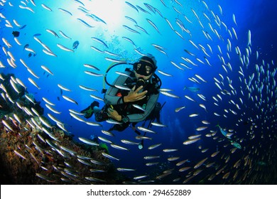 サンゴ礁での魚とのスキューバ ダイビング