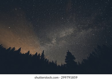 Cielo nocturno de la Vía Láctea sobre pinos en Breckenridge, Colorado