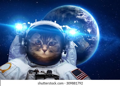 Schöne Katze im Weltraum. Elemente dieses Bildes, bereitgestellt von der NASA.