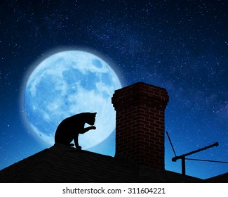 屋根の上の猫。