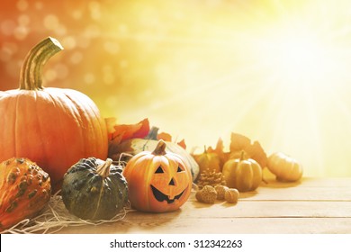Een rustiek herfststilleven met pompoenen, een kleine Jack O'Lantern en gouden bladeren op een houten ondergrond. Fel zonlicht komt van achteren binnen.