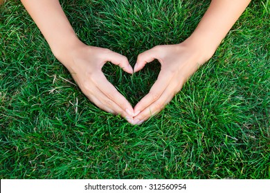 Hände im Gras in Form von Herzen. Hände halten grünes, herzförmiges Gras / grüne Babypflanzen, die in Herzform angeordnet sind / lieben die Natur / retten die Welt / heilen die Welt / Umweltschutz
