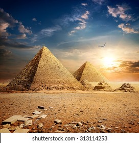 Big bird over pyramids at the sunset