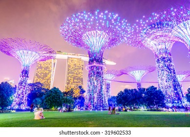 Supertree grove at garden by the bay in singapore