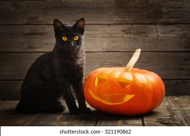 Halloween-pompoen en zwarte kat op houten achtergrond
