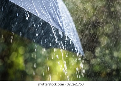 Tetesan hujan jatuh dari konsep payung hitam untuk cuaca buruk, musim dingin atau perlindungan