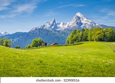Idyllische Landschaft in den Alpen mit frischen grünen Wiesen und blühenden Blumen und schneebedeckten Berggipfeln im Hintergrund, Nationalpark Berchtesgadener Land, Bayern, Deutschland