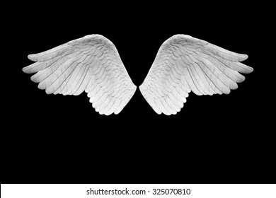 White angel wing on black background HD wallpaper download