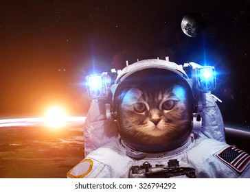 Black astronaut cat 4K wallpaper download