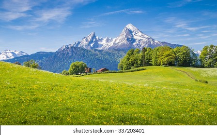 アルプスの牧歌的な風景で、新鮮な緑の牧草地と花が咲き、雪を頂いた山頂が背景にあり、国立公園ベルヒテスガーデナーランド、バイエルン、ドイツ