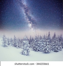 Dairy Star Trek en el bosque de invierno. Cárpatos, Ucrania, Europa