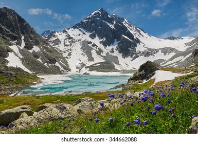 背景に色とりどりの花と山頂を持つ氷の湖、ロシア、シベリア、アルタイ山脈、カトゥン尾根。