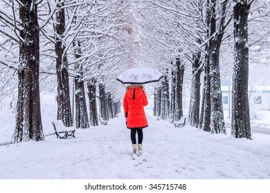 パスと行の木の上を歩く傘を持つ少女。冬。