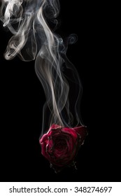 Red rose and smoke 2K wallpaper download