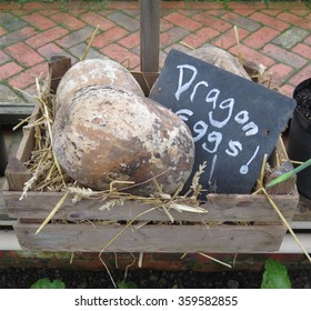 Lá vả khô Nép mình trong thùng gỗ với tấm biển viết tay có dấu hiệu nói "Trứng rồng!" trong một nhà kính ở Devon, Anh, Vương quốc Anh
