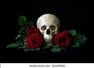 ヴァニタス。黒いバッググラウンドで分離された赤いバラを持つ人間の頭蓋骨。ゴシック静物。本やハロウィーンのデザイン