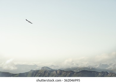 Rocky Mountains and flying eagle bird Landscape minimalistic style scenic aerial view 