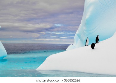 Penguin di gunung es di kutub antartika