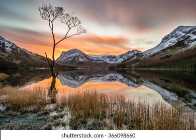 英国湖水地方バターミアの前景に孤独な木があり、穏やかな静かな水に映る、動く雲と雪をかぶった山々を持つ鮮やかなオレンジ色の日の出。