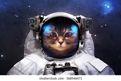 Tapferer Katzenastronaut beim Weltraumspaziergang. Diese Bildelemente wurden von der NASA bereitgestellt