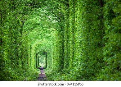 Maravilla de la Naturaleza - Túnel Real del Amor, árboles verdes y el ferrocarril, Ucrania.