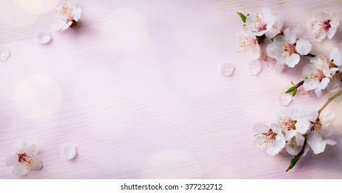 arte primavera floreciente; flores de primavera sobre fondo de madera