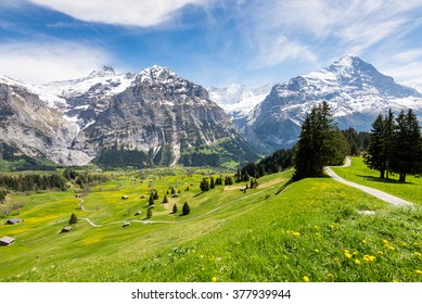 スイス、グリンデルヴァルト周辺の山々